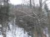 dscf5114_small.jpg