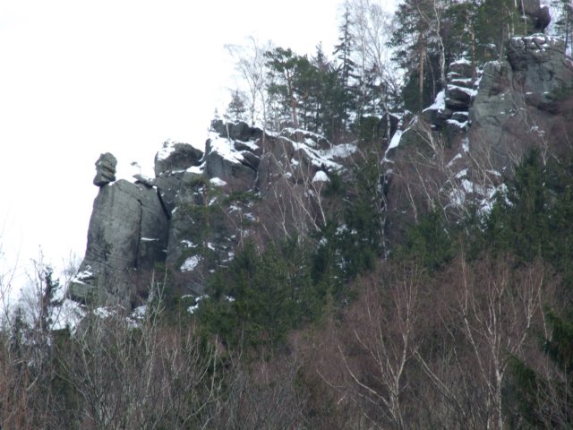 dscf5115.jpg