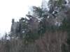 dscf5115_small.jpg