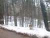 dscf5116_small.jpg