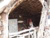dscf5295_small.jpg
