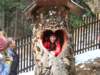 dscf5303_small.jpg