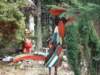 dscf5305_small.jpg