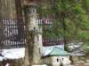 dscf5309_small.jpg