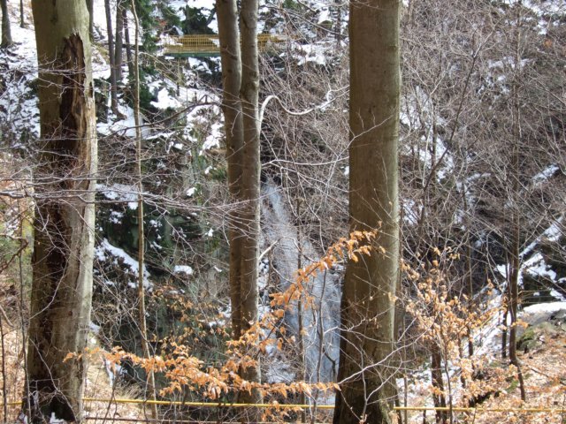 dscf5322.jpg