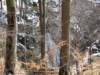 dscf5322_small.jpg