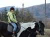 dscf5351_small.jpg