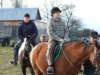 dscf5372_small.jpg