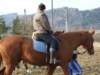 dscf5383_small.jpg