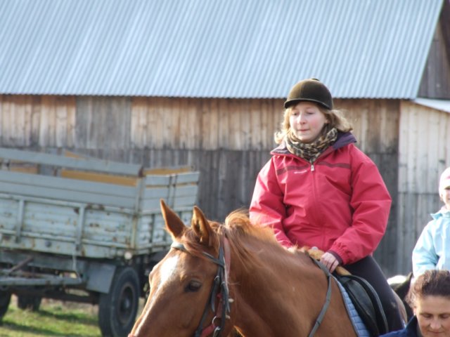 dscf5393.jpg