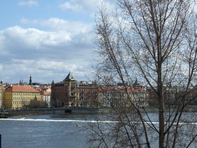 dscf5489.jpg