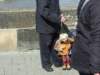 dscf5497_small.jpg