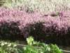dscf5522_small.jpg