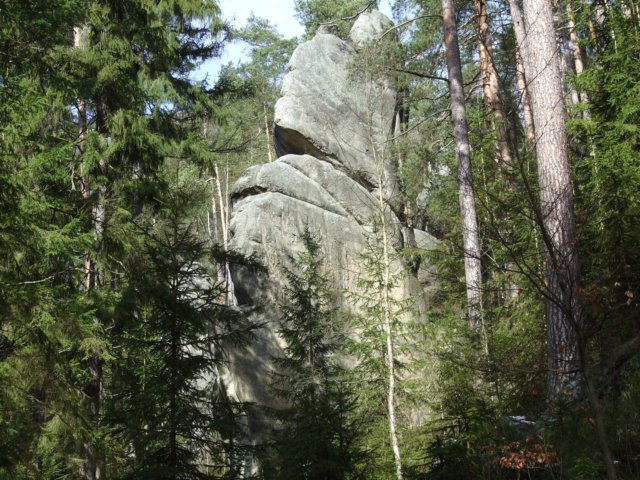 dscf5533.jpg