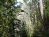 dscf5533_small.jpg