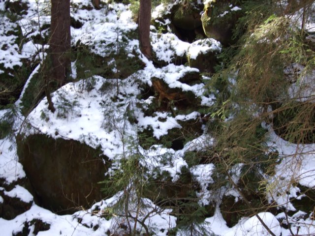 dscf5534.jpg