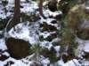 dscf5534_small.jpg