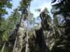 dscf5535_small.jpg