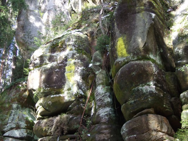dscf5536.jpg