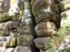 dscf5537_small.jpg