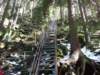 dscf5539_small.jpg