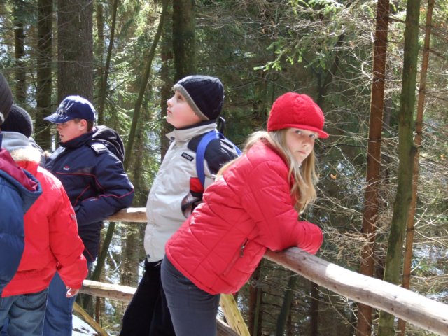 dscf5542.jpg