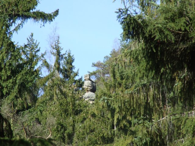 dscf5543.jpg