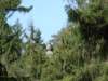 dscf5543_small.jpg