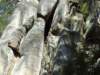dscf5544_small.jpg