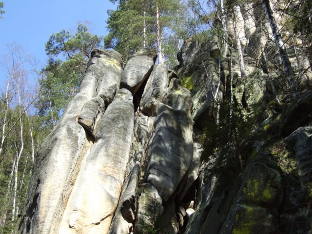 dscf5545.jpg