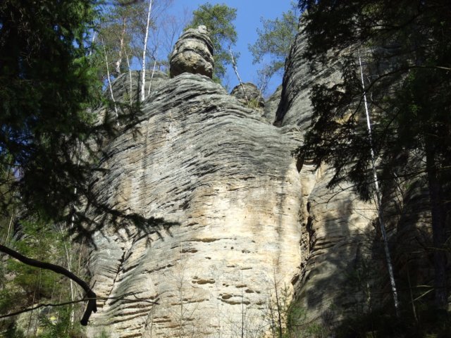 dscf5546.jpg