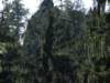 dscf5548_small.jpg