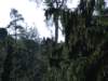 dscf5549_small.jpg