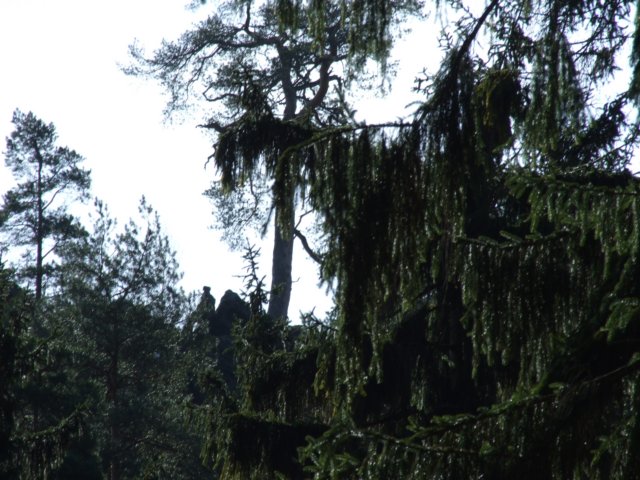 dscf5550.jpg
