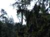 dscf5550_small.jpg
