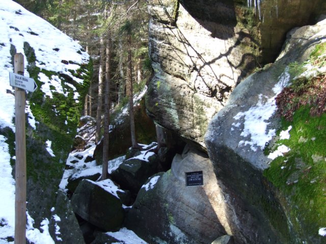 dscf5555.jpg
