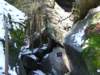 dscf5555_small.jpg
