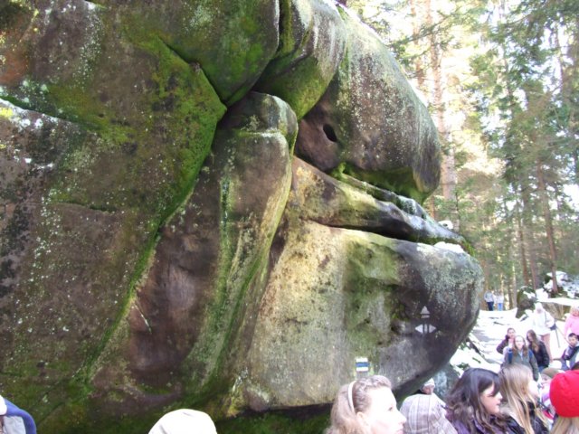 dscf5562.jpg