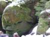 dscf5563_small.jpg