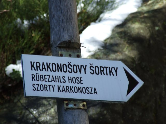 dscf5564.jpg