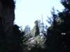 dscf5570_small.jpg
