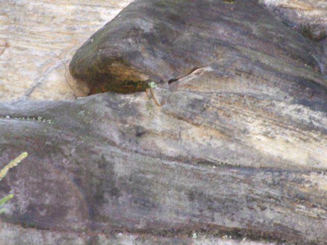 dscf5581.jpg