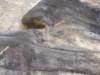 dscf5581_small.jpg