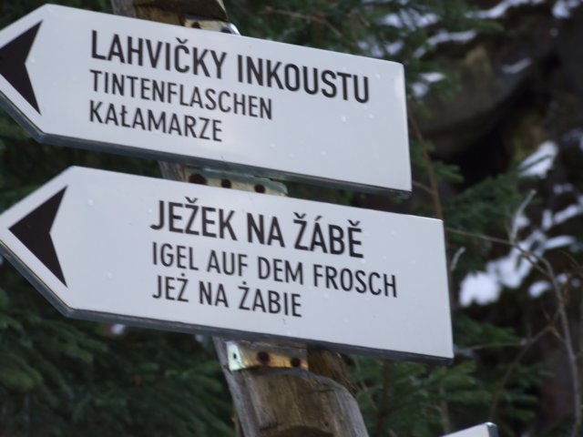 dscf5586.jpg