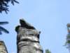 dscf5592_small.jpg