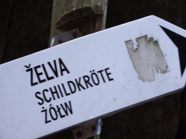 dscf5593.jpg