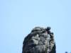 dscf5594_small.jpg