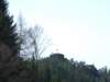 dscf5596_small.jpg