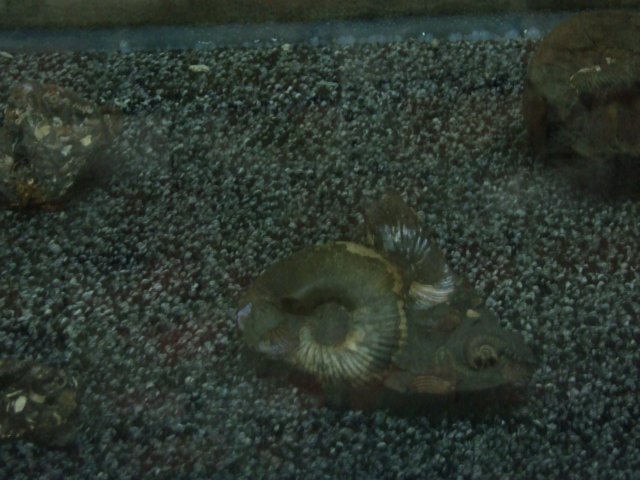 dscf5634.jpg