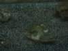dscf5634_small.jpg